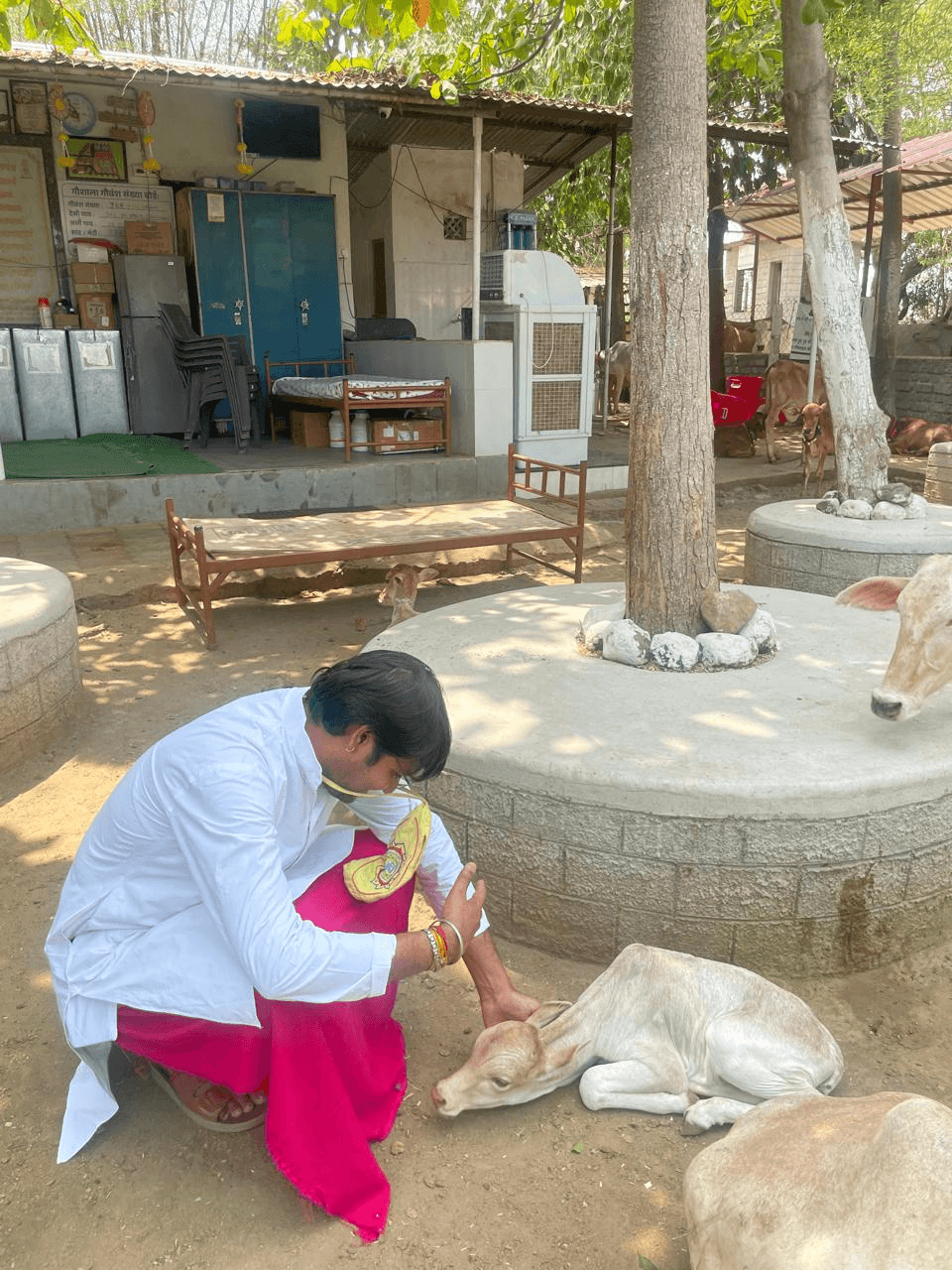 गैलरी चित्र 21